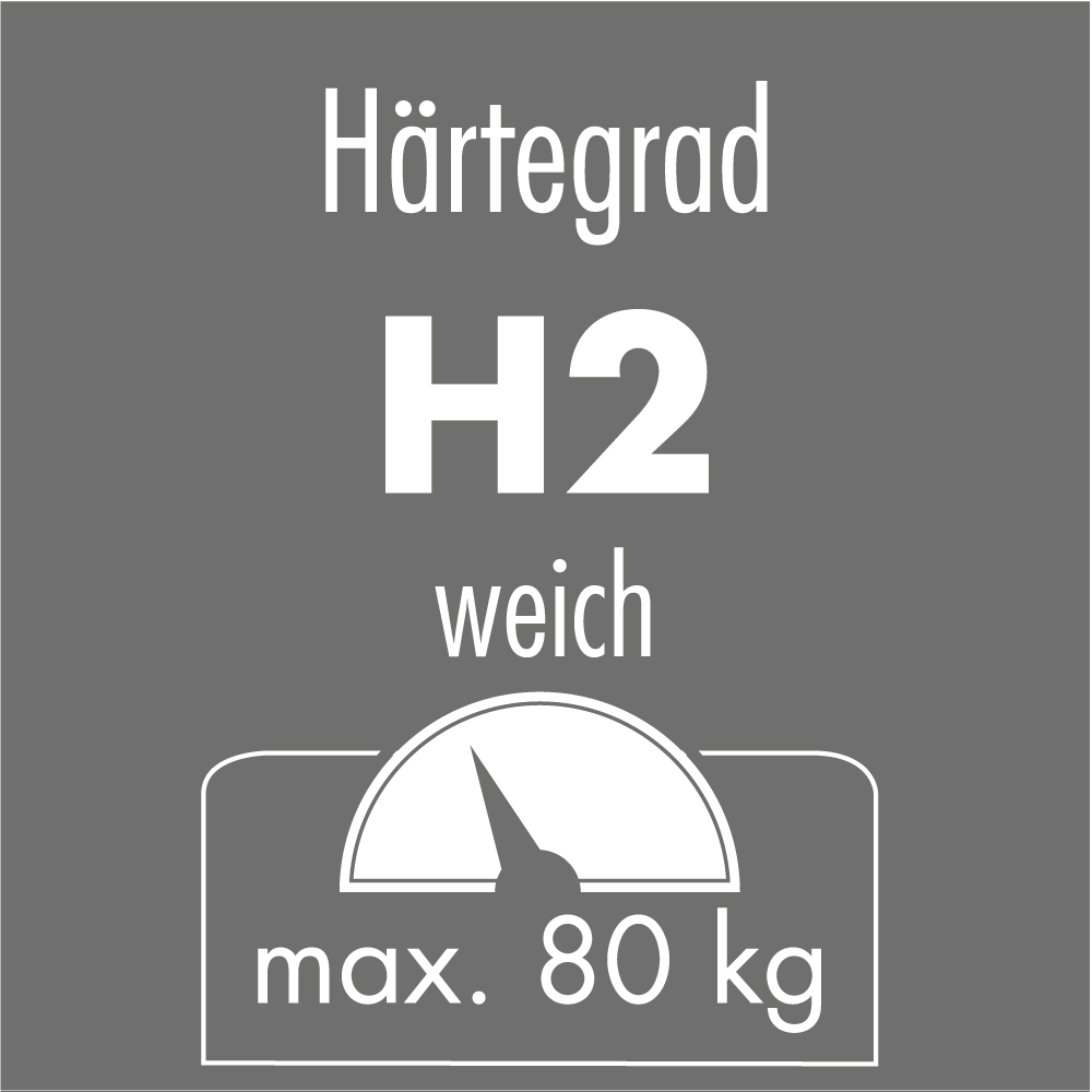 IRISETTE Sylt Härtegrad 2, 7-Zonen Tonnentaschenfedernkern-Matratze
