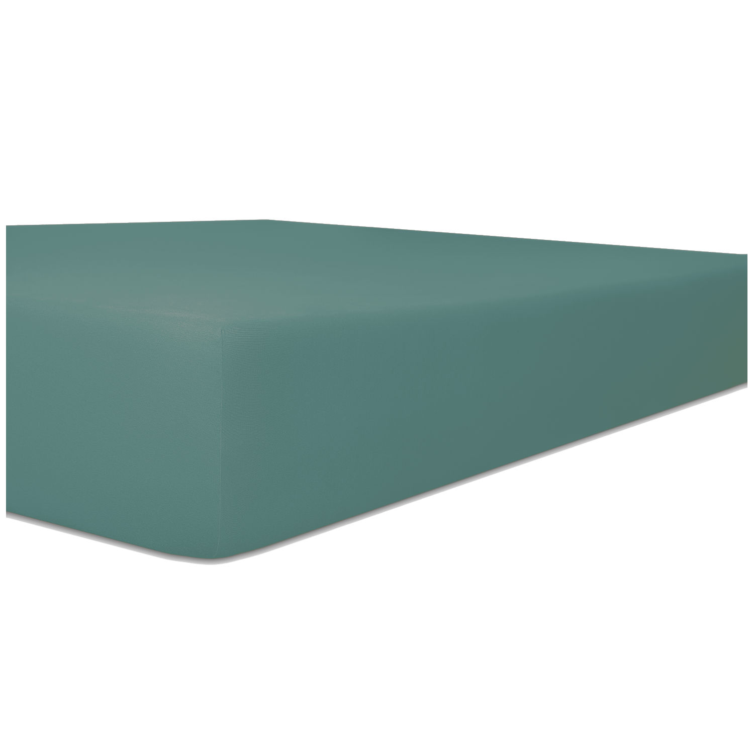 Kneer Vario-Stretch Spannbetttuch one für Topper 4-12 cm Höhe Qualität 22 Farbe salbei