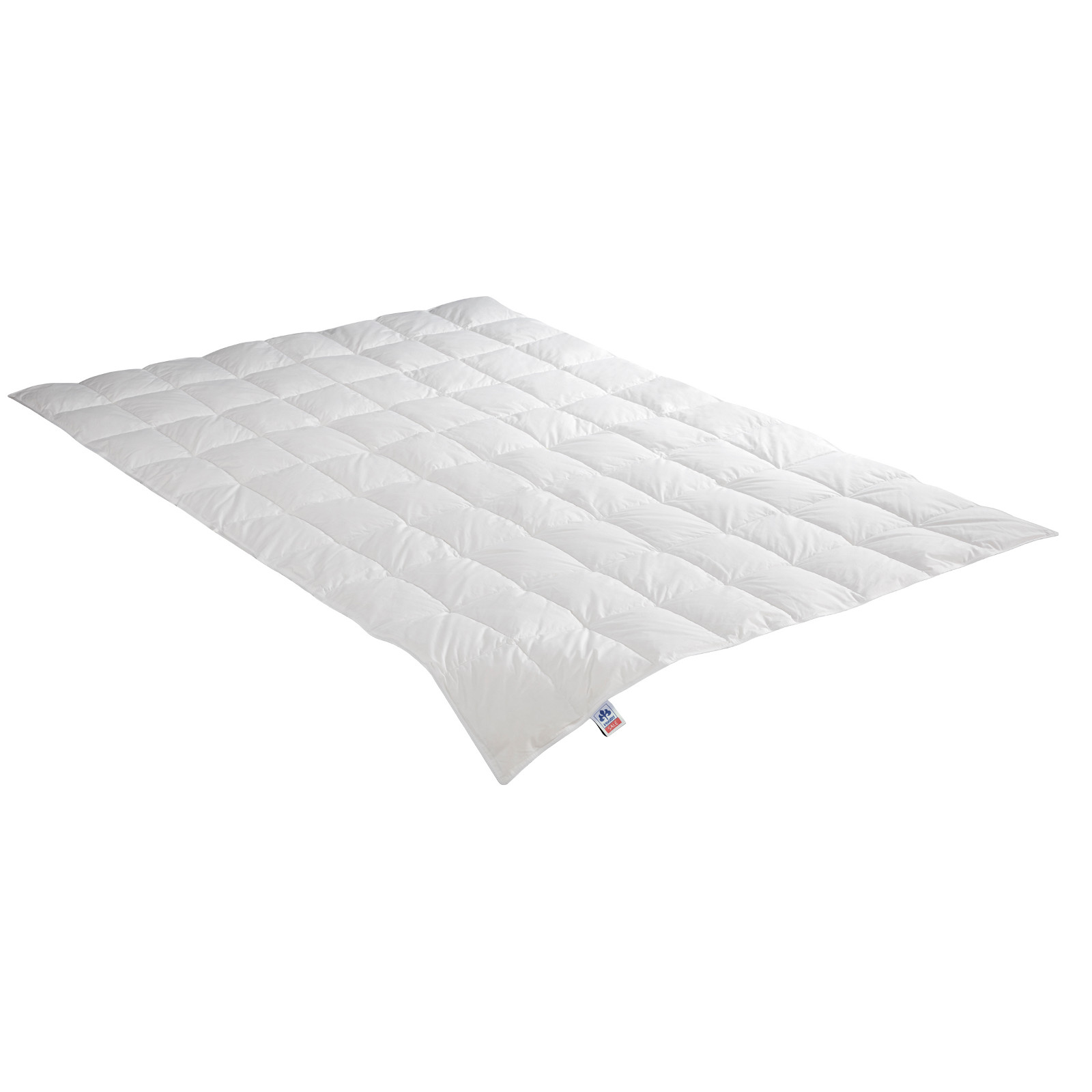 IRISETTE Daunensteppbett Nora leicht Größe 155x200 cm Sommerdecke