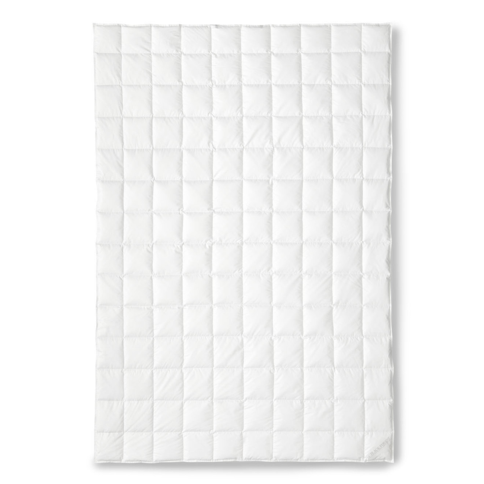 OBB Black Forest Schneegansdaunen-Einziehdecke Sommerdecke Lara leicht Größe 200x200 cm