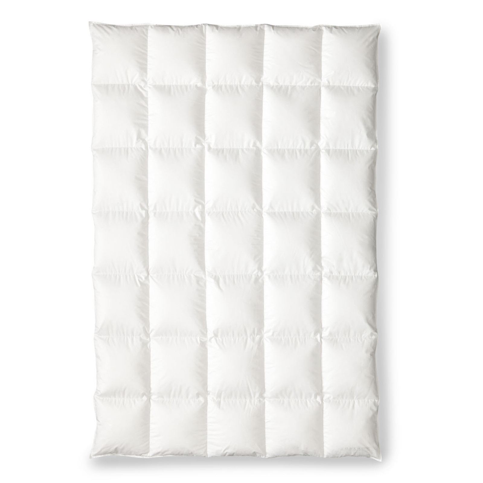 OBB Black Forest Schneegansdaunen-Kassettendecke Winterdecke Lara warm Größe 200x200 cm