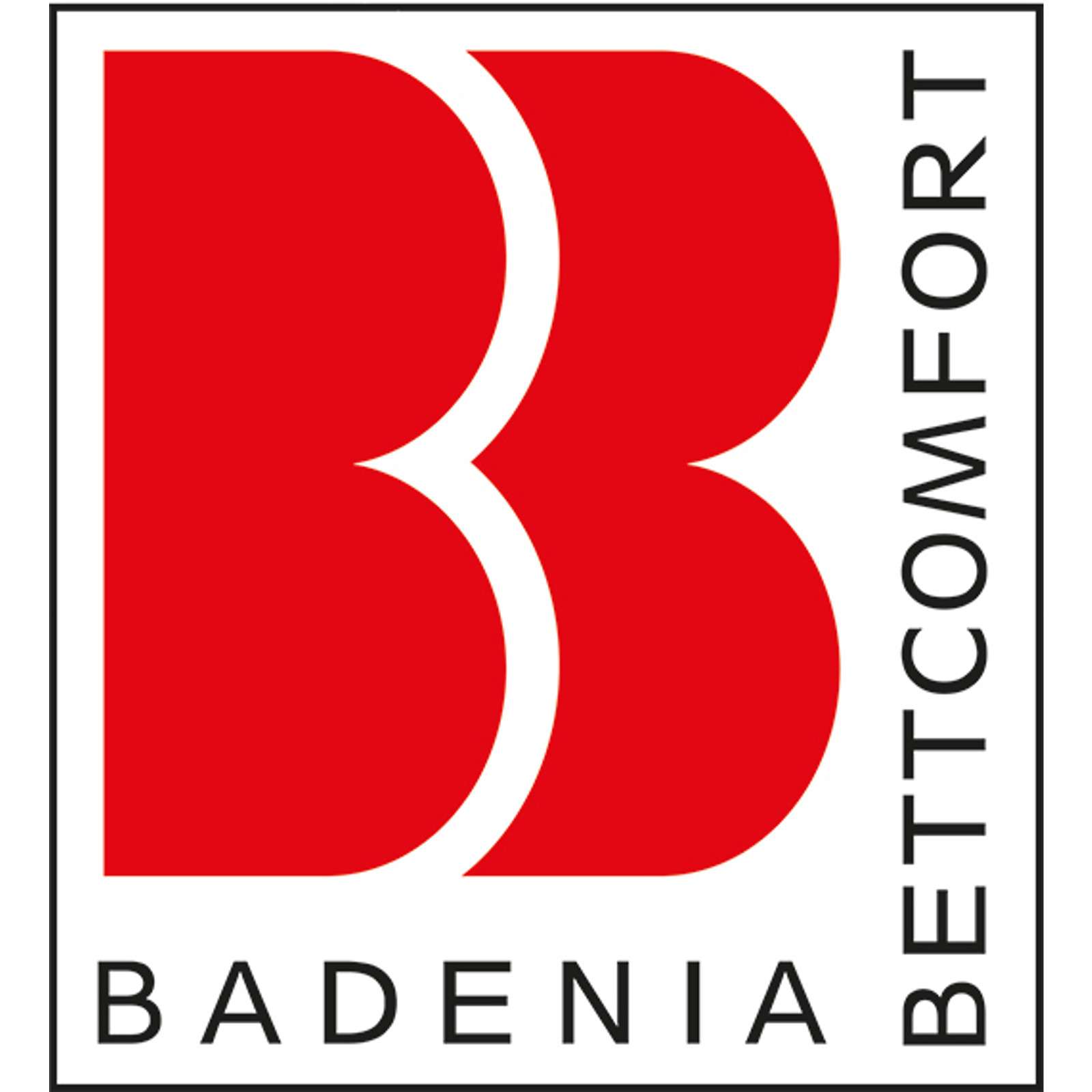 Badenia Kissen Trendline Micro kochfest Größe 40x80 cm Kopfkissen  Schlafkissen